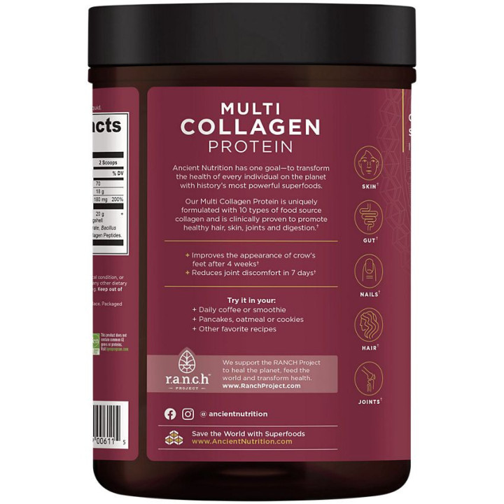 AN Multi Collagen Protein Powder Unflavored (45 serv)