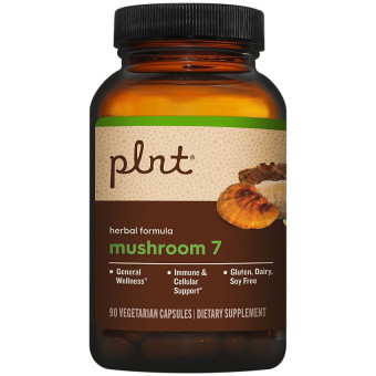 Plnt Mushroom 7 Herbal Formula (90 cap)