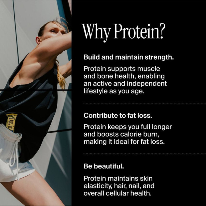 David Protein Bar Chocolate Chip Cookie Dough (1 Bar)