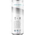 Bum Energy Champion Mentality (12 fl oz)
