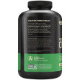 Creatine Powder 5 g (120 serv)