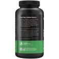 Creatine Powder 5 g (60 serv)