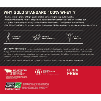 Gold 100% Whey Vanilla Ice Cream (73 serv) 5 lb