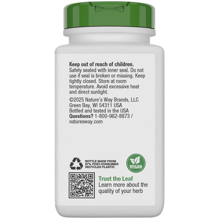 Vitex Fruit Chasteberry 400 mg (100 cap)