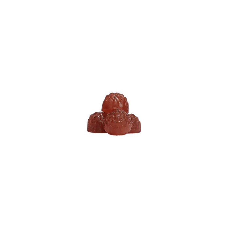 Elderberry Gummies (60 gomitas)