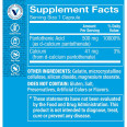 Pantothenic Acid Vitamina B5 500 mg (100 cap)