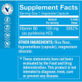 Vitamina B6 100 mg (100 cap)