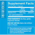 Vitamina B12 500 mcg (100 cap)