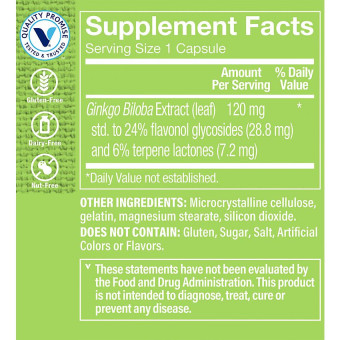 Ginkgo Biloba Extract 120 mg (60 cap)