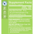 Ginkgo Biloba Extract 60 mg (120 cap)