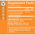 Reishi Mushroom 1200 mg (100 cap)