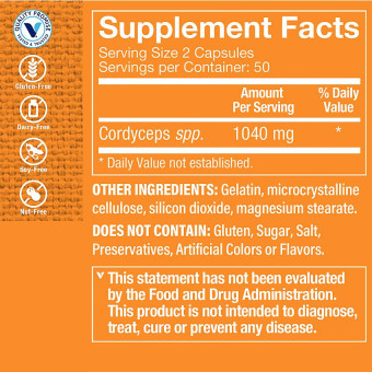 Cordyceps 1040 mg (100 cap)
