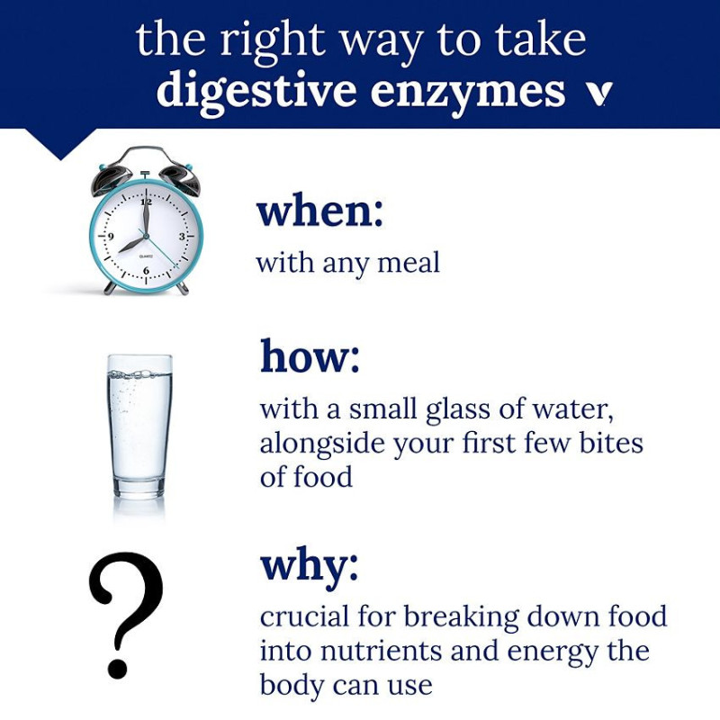 Digestive Enzymes (90 veg cap)
