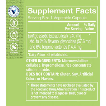 Double Strength Ginkgo Biloba Extract 240 mg (120 veg cap)
