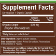 Plnt Organic Ginger 500 mg (90 cap)