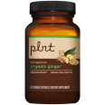 Plnt Organic Ginger 500 mg (90 cap)