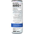 Celsius Sparkling Artic Vibe (12 fl oz)