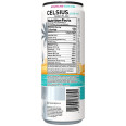 Celsius Sparkling Oasis Vibe (12 fl oz)