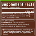 Plnt Organic Ashwagandha (90 caps)