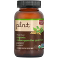 Plnt Organic Ashwagandha Gummies Apple (60 Gummies)