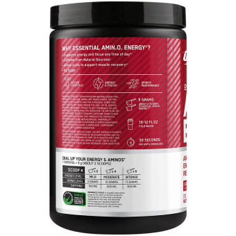 Amino Energy Fruit Fusion 5 g (30 serv)