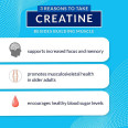 Creatine Powder 5 g (120 serv)