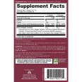 AN Multi Collagen Protein Powder Unflavored (24 serv)
