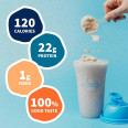 Raw Organic Plant Protein Unflavored (20 serv) 1.25 lb