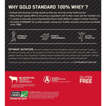 Gold 100% Whey Double Rich Chocolate (29 serv) 2 lb