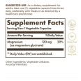Solgar Magnesium Glycinate 120 MG (90 veg caps)