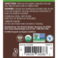 Plnt Organic Lion's Mane 1000 mg (120 cap)
