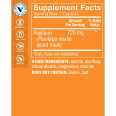 Psyllium Husks 720 mg (300 cap)