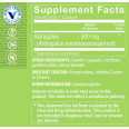 Astragalus 500mg (100 cap)