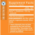 Reduced Glutathione 250 mg (100 cap)