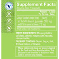 Ginkgo Biloba Extract 120 mg (120 cap)