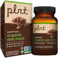 Plnt Organic Sea Moss 900 mg (90 cap)