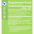 Ginkgo Biloba Extract 120 mg (60 cap)