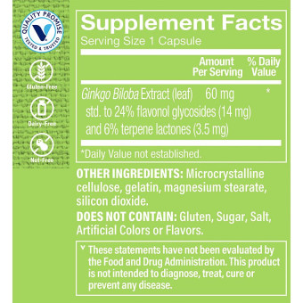 Ginkgo Biloba Extract 60 mg (120 cap)