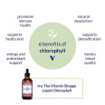 Liquid Chlorophyll 100 mg (2 fl oz)