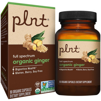 Plnt Organic Ginger 500 mg (90 cap)