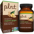 Plnt Organic Ginger 500 mg (90 cap)