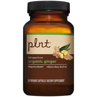 Plnt Organic Ginger 500 mg (90 cap)