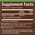 plnt Organic Fermented Reishi 500 mg (60 veg cap)