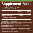 Plnt Organic Moringa 1000 mg (100 cap)