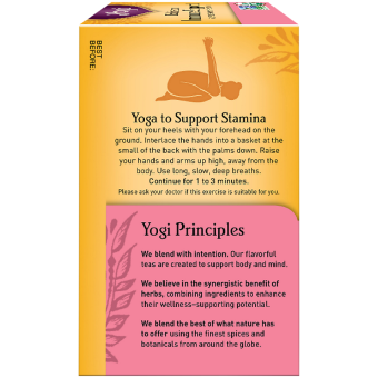 Tea Echinacea Immune Support (16 serv)