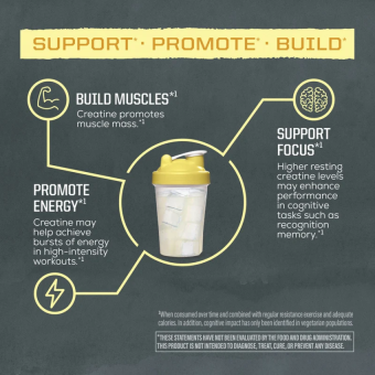 SunWarrior Active  Creatine Lemonade (50serv)