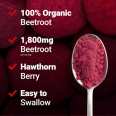Force Factor Total Beets (90 cap)