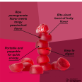 Honey Stinger Energy Chews Pomegranate 50 gr (1 packet)